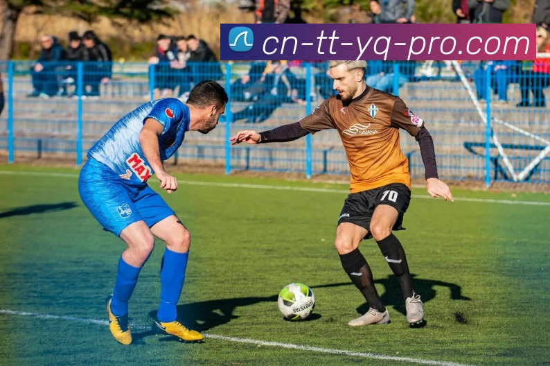 天天盈球发展历程