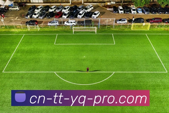 记者弗拉门戈本周将再次报价帕奎塔费用或高于4000万欧